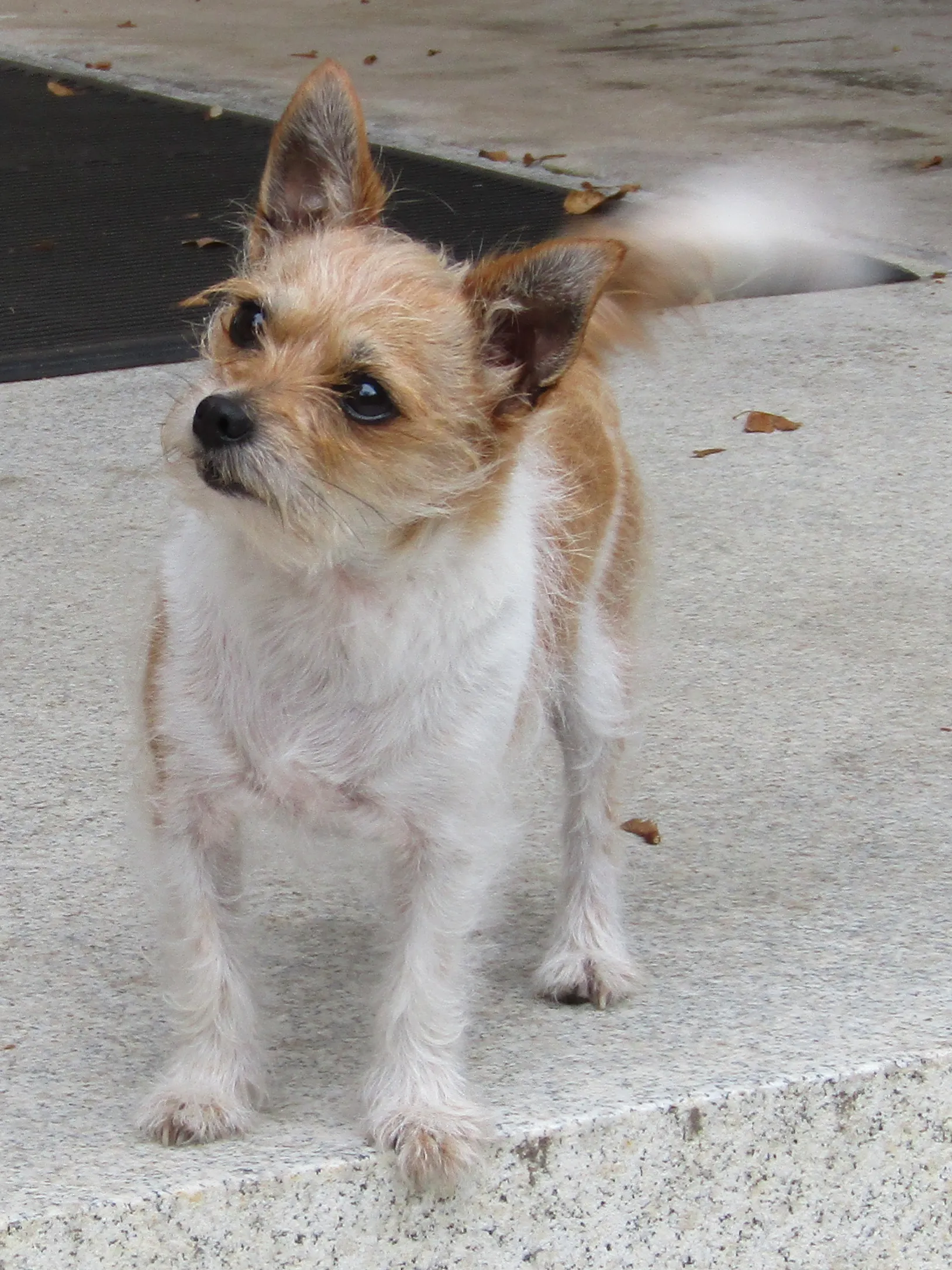 Penny looking to the left